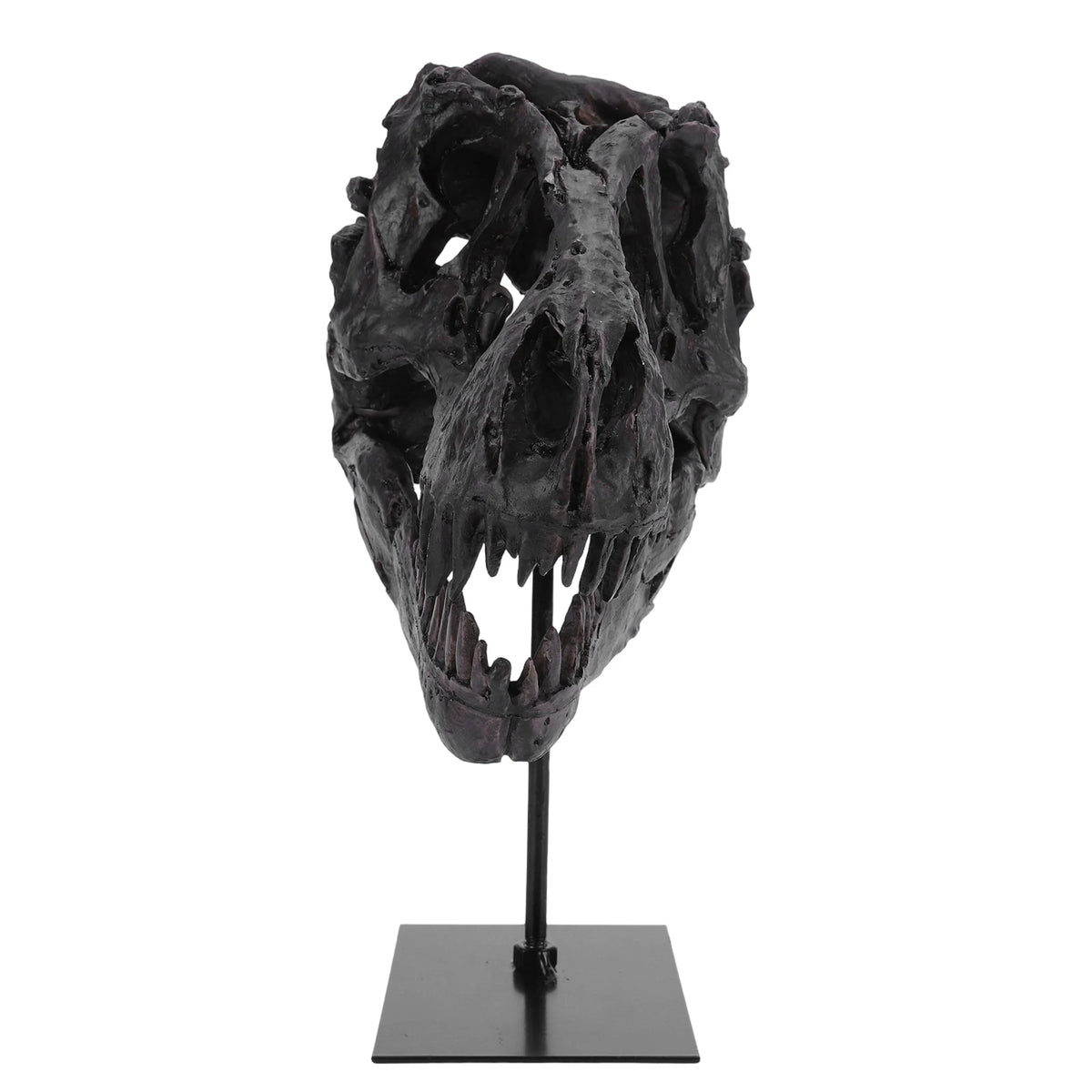 Tyrannosaurus Rex Fossil Skull Figurine Resin Replica With Display Stand
