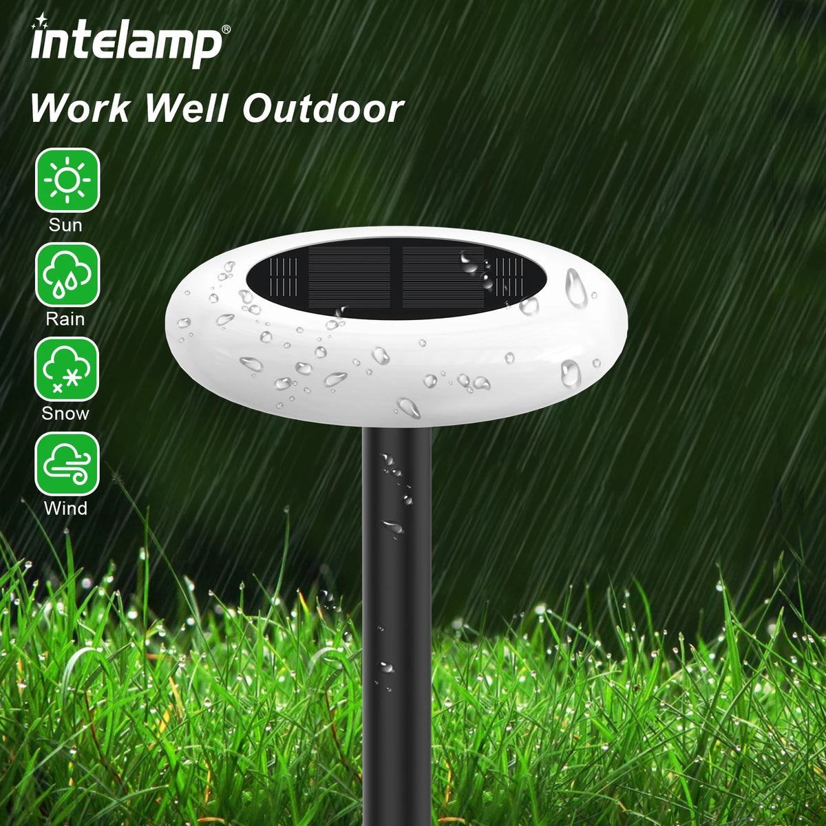 Intelamp Outdoor Solar LED Pathway Lights for Gardens and Walkways