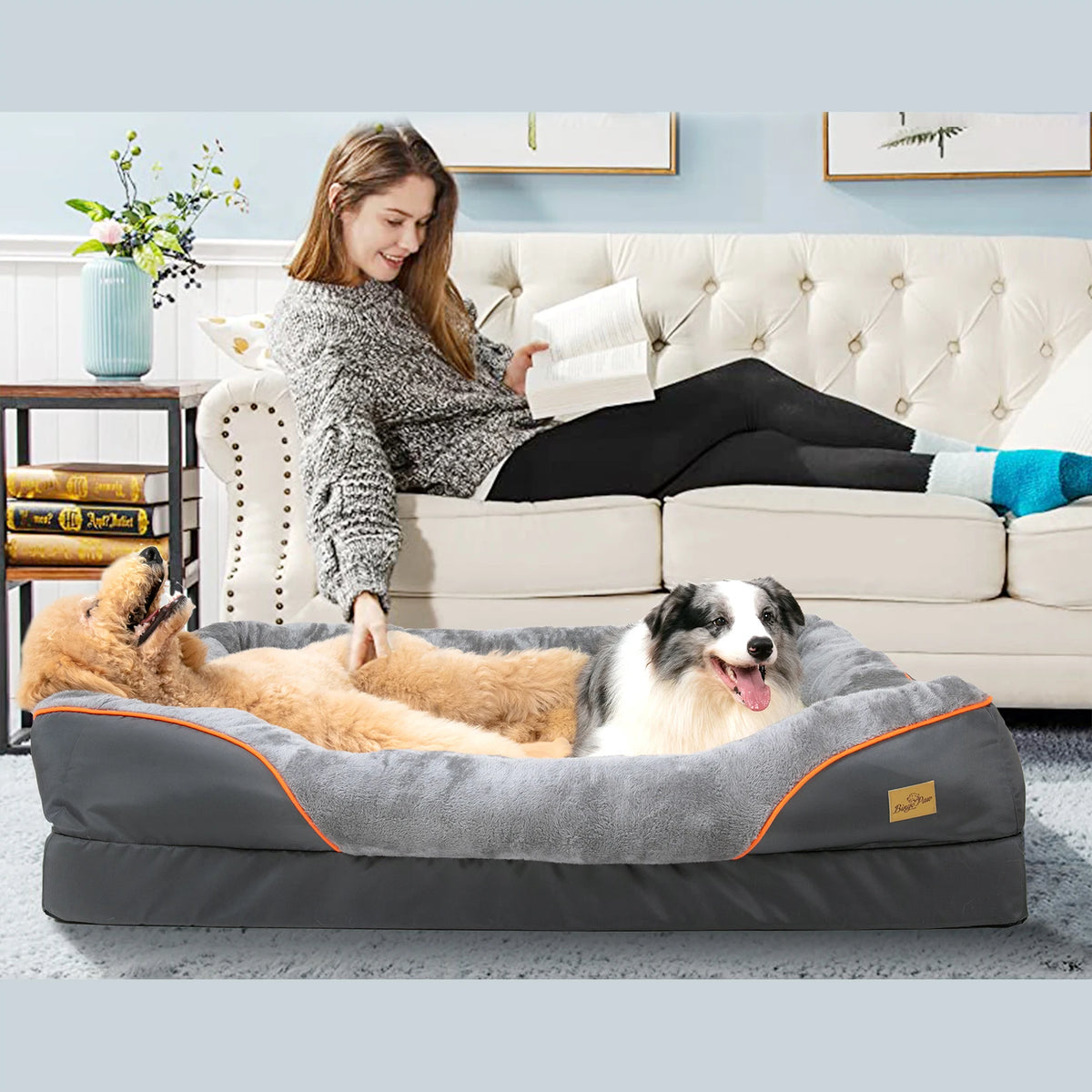 Bingopaw Removable Fleece Dog Bed With Waterproof Washable Cover