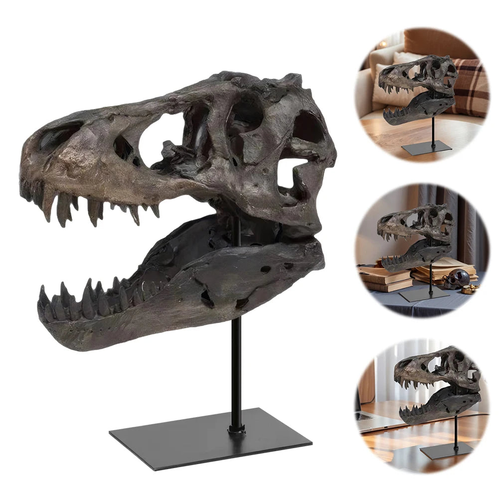 Tyrannosaurus Rex Fossil Skull Figurine Resin Replica With Display Stand