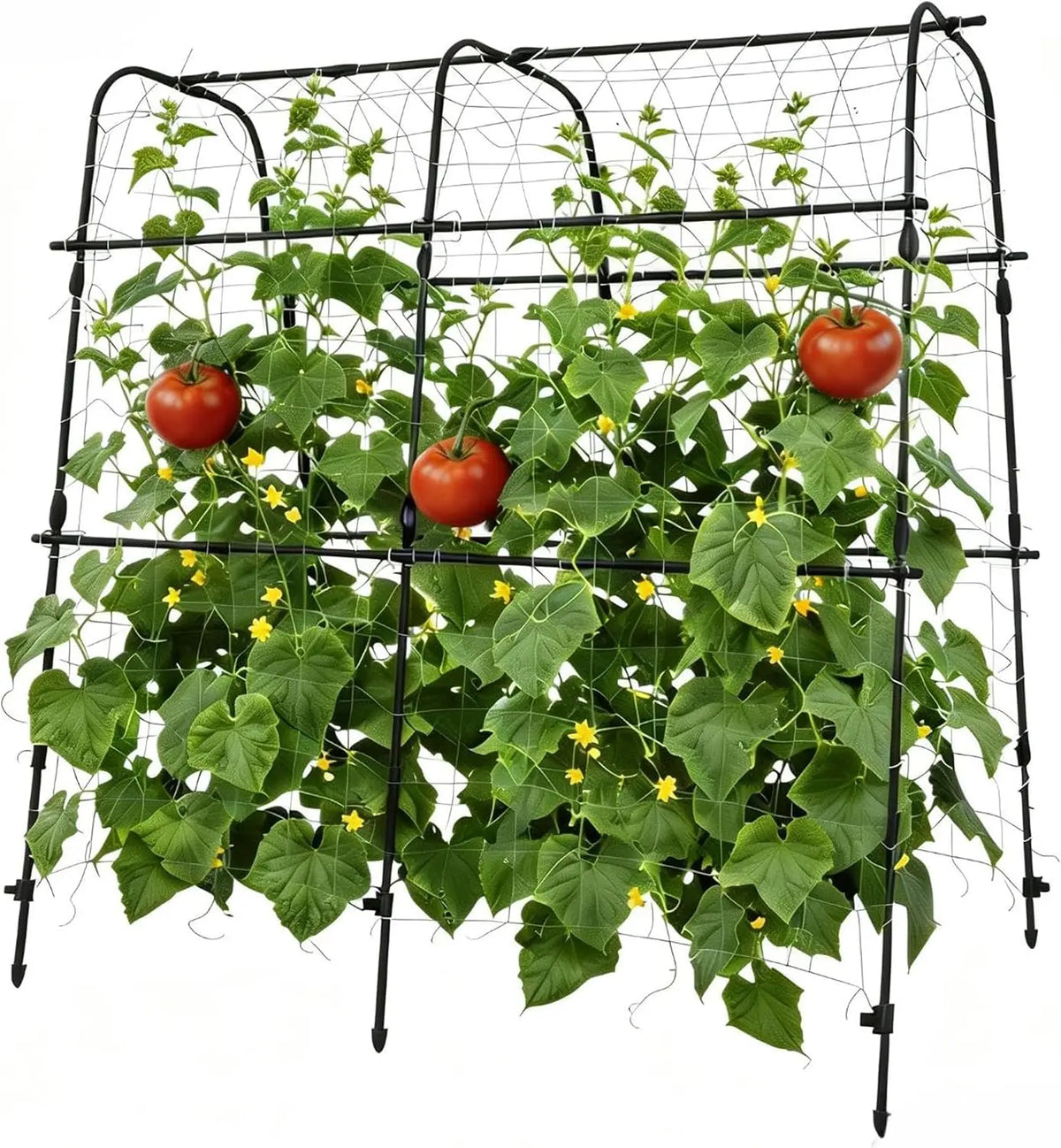 Vertical Arch Garden Trellis For Outdoor Balcony Patio Plant Support