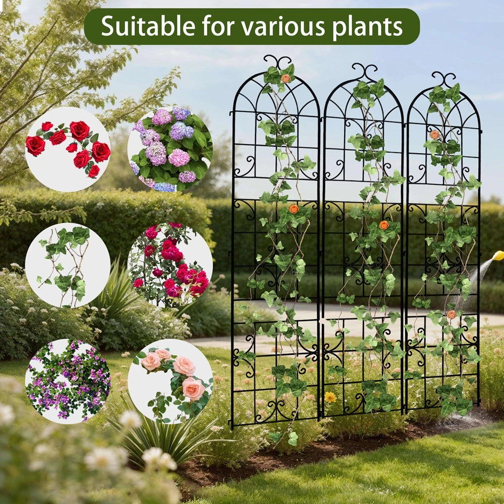 Rustproof Metal Garden Trellis For Climbing Plants Support