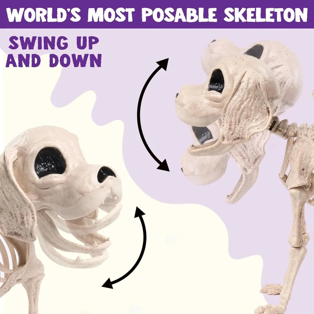 Posable Realistic Dog Skeleton For Halloween Decoration
