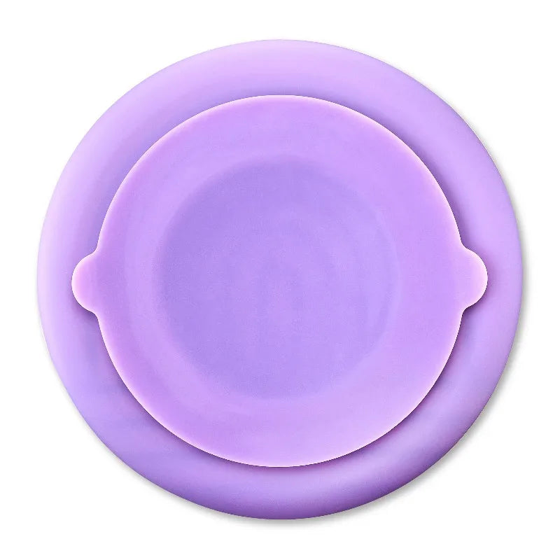 Silicone Slow Feeder Bowl For Pets With Interactive Mealtime Design