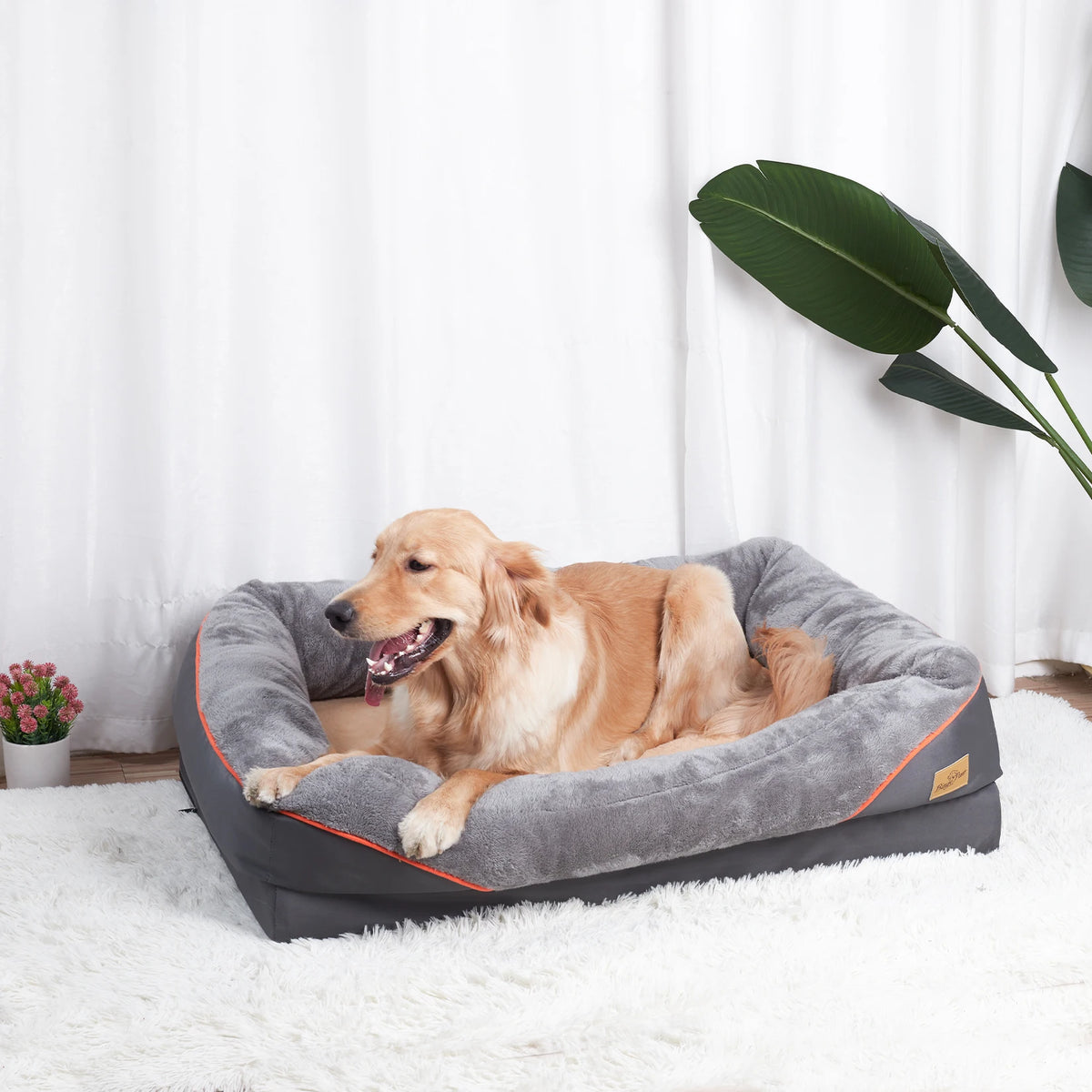 Bingopaw Removable Fleece Dog Bed With Waterproof Washable Cover