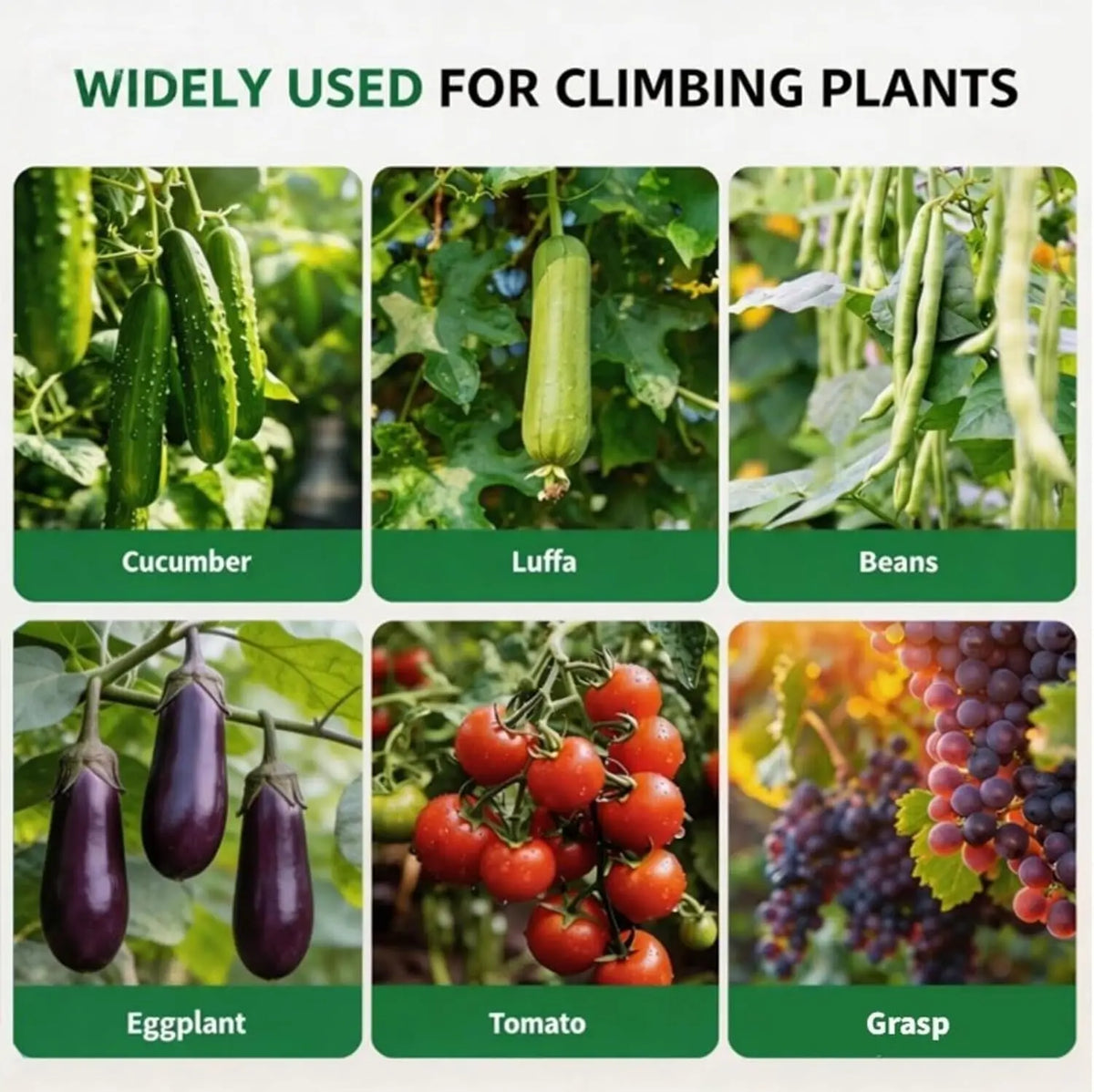 Vertical Arch Garden Trellis For Outdoor Balcony Patio Plant Support