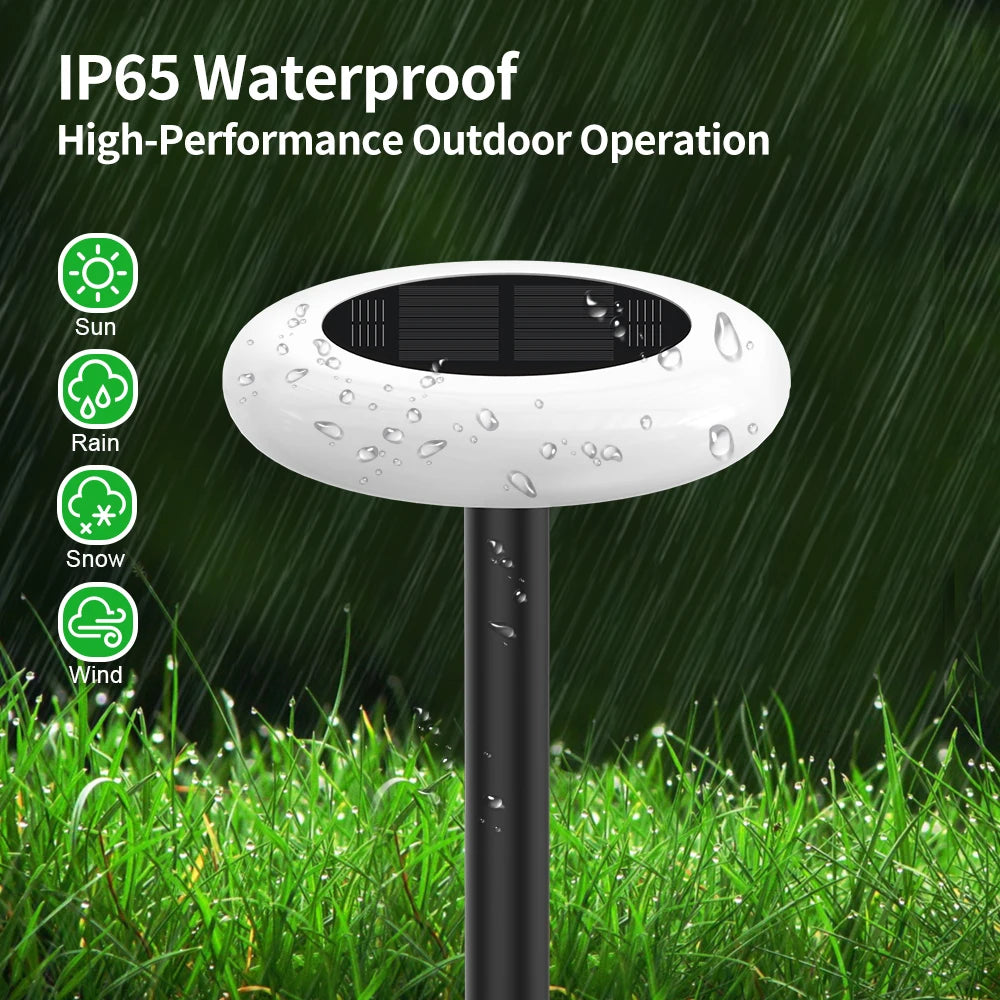 Intelamp Color Changing Solar Pathway Lights for Outdoor Gardens