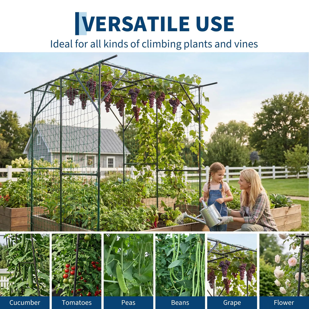 HiMISS Metal Garden Arch Trellis for Climbing Plants and Cucumbers
