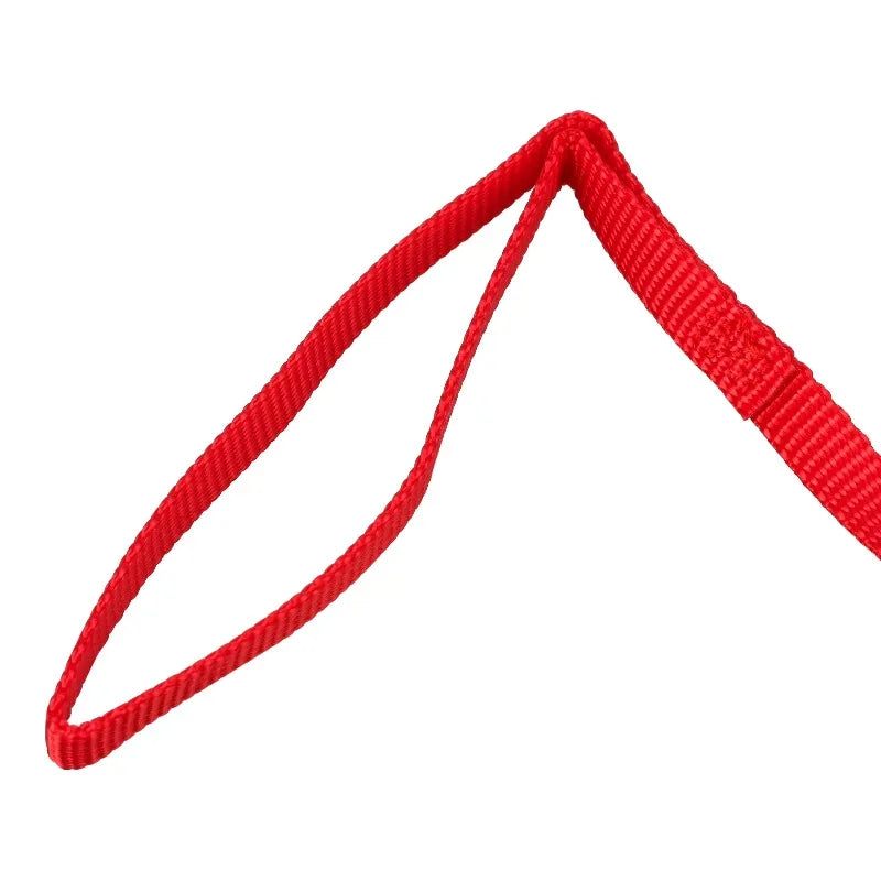 Sturdy Nylon Adjustable Leash For Secure Daily Dog Walking