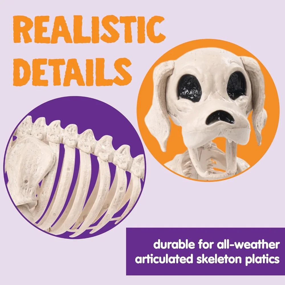 Posable Realistic Dog Skeleton For Halloween Decoration
