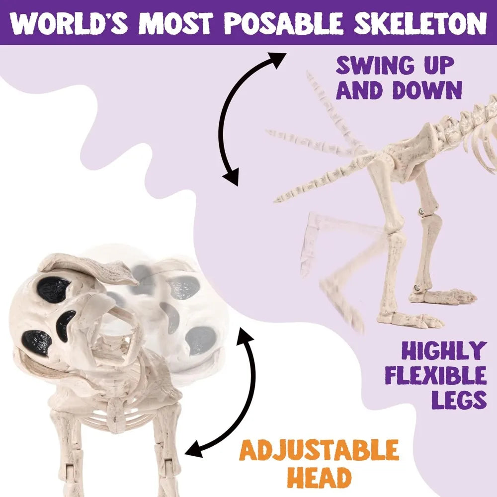 Posable Realistic Dog Skeleton For Halloween Decoration