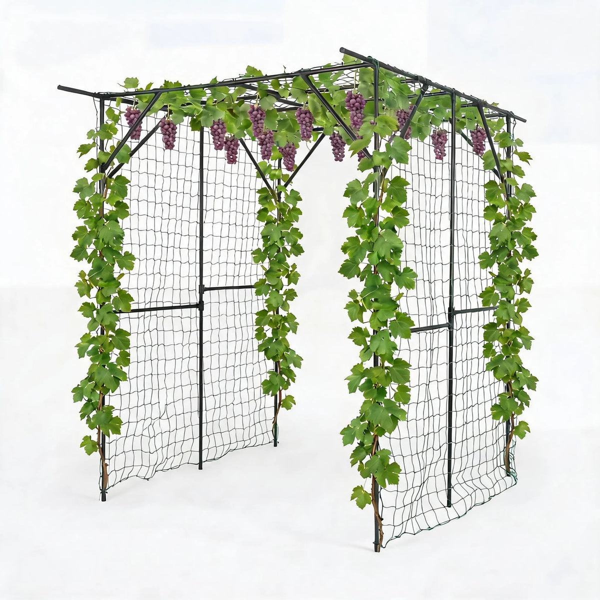 HiMISS Metal Garden Arch Trellis for Climbing Plants and Cucumbers