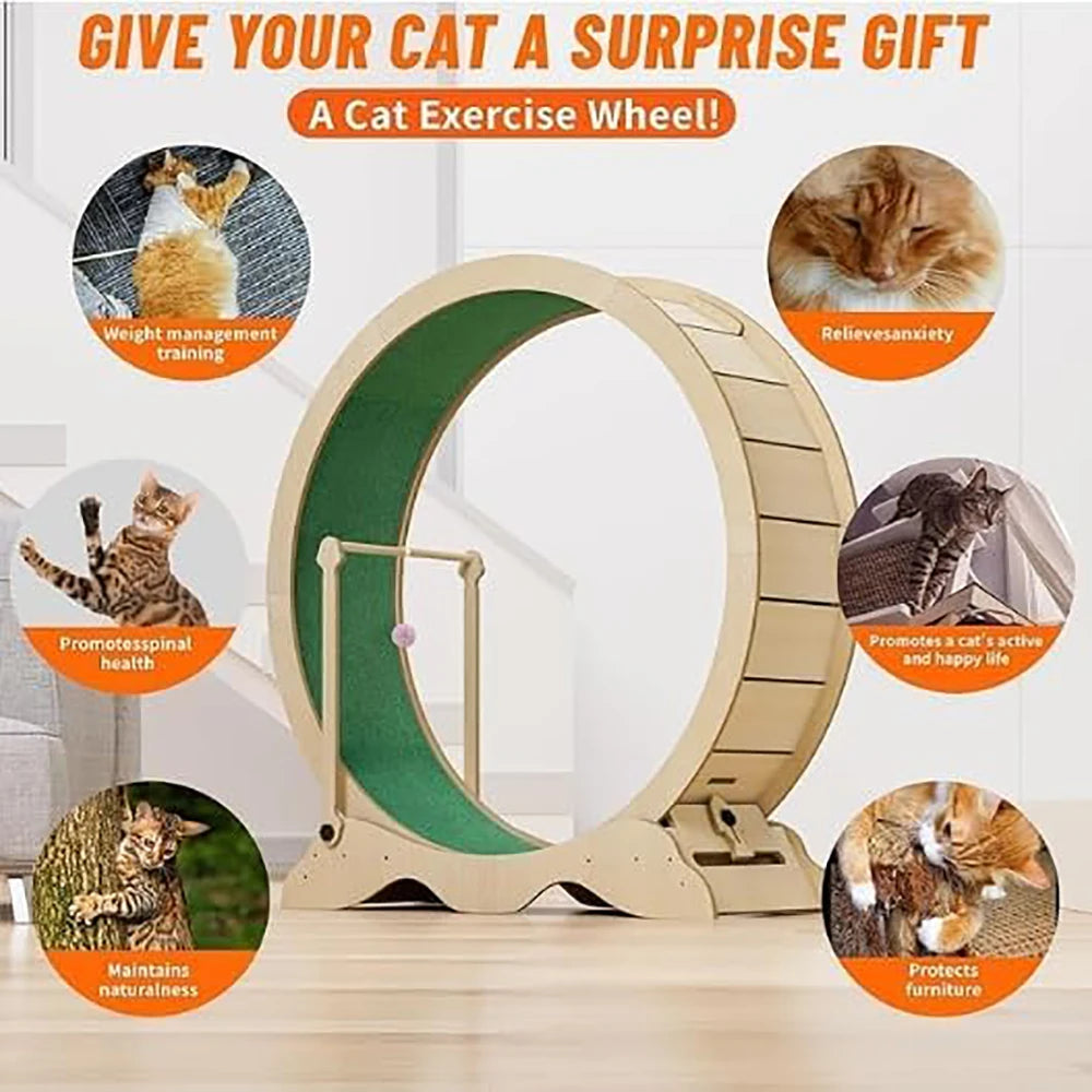 Cat Exercise Wheel Indoor Treadmill With Carpeted Runway