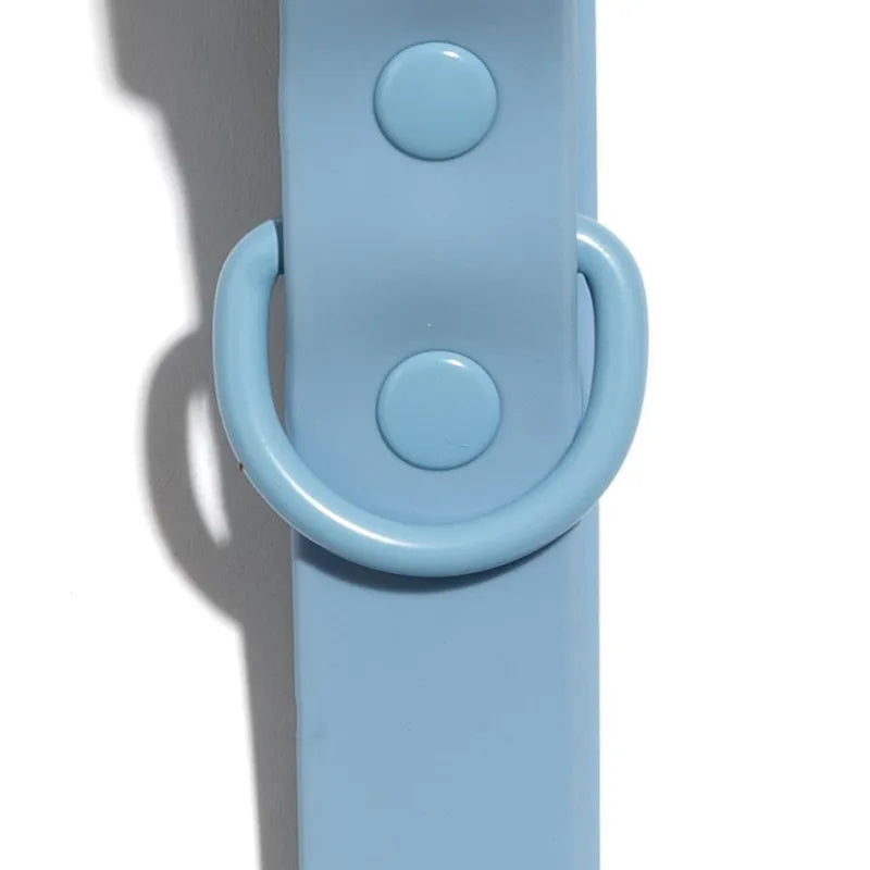 Comfortable Water and Dirt Resistant Dog Collar for Pets