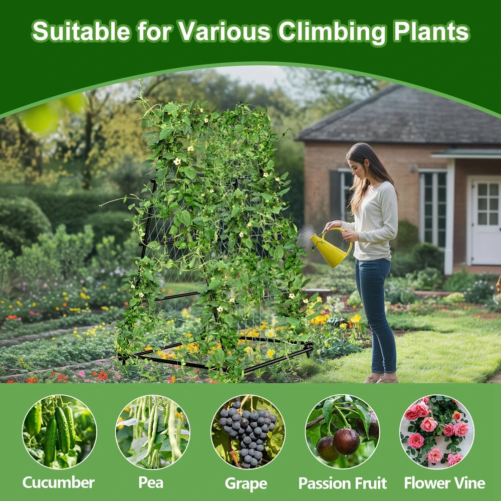Wisfor A-Shaped Metal Garden Trellis Arch with Netting Vine Support