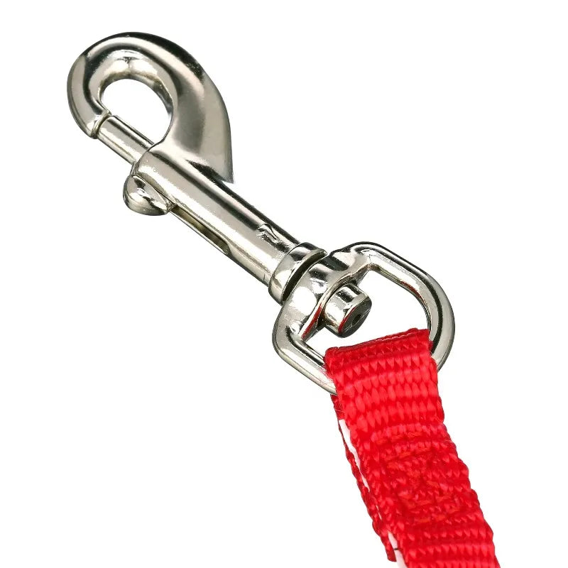 Sturdy Nylon Adjustable Leash For Secure Daily Dog Walking
