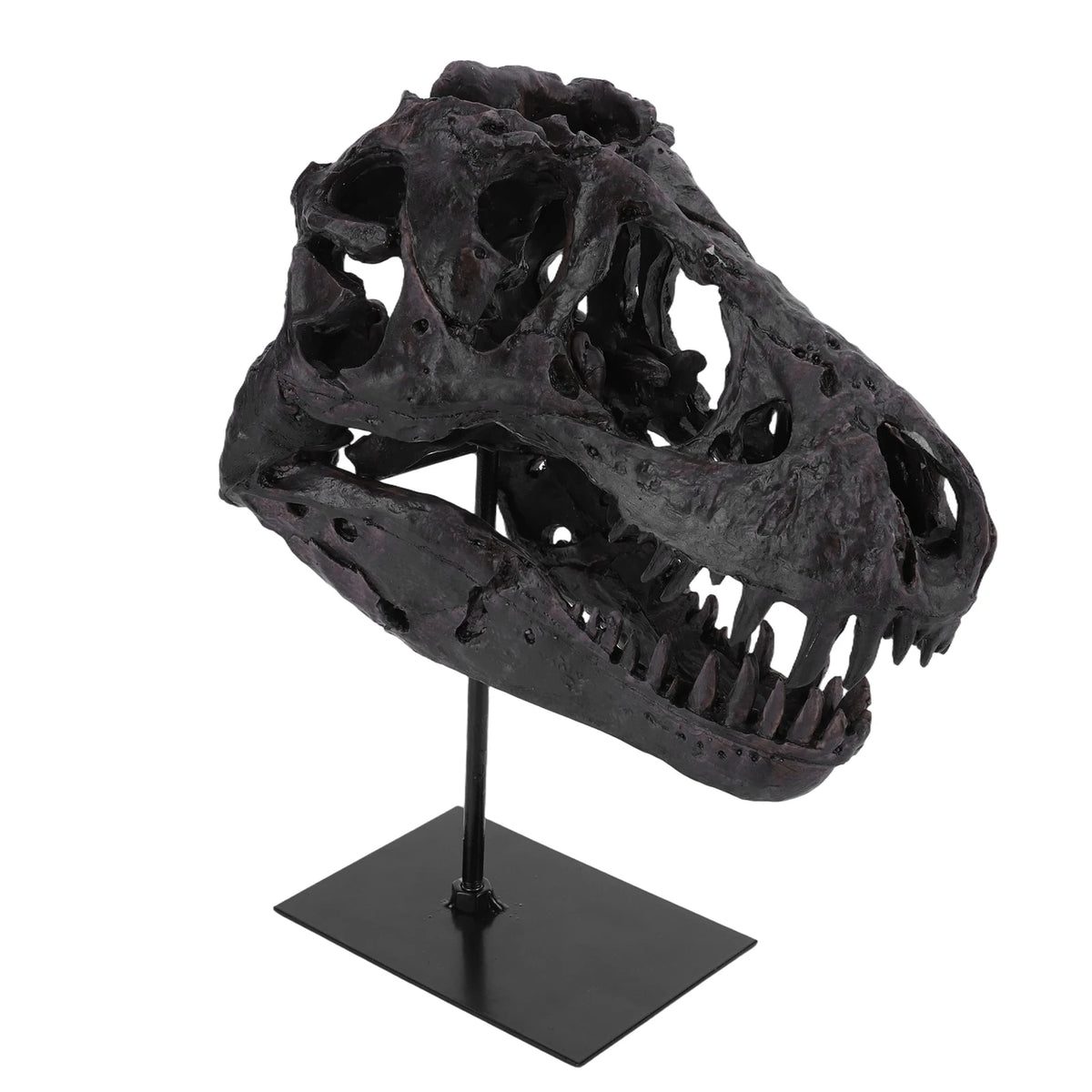 Tyrannosaurus Rex Fossil Skull Figurine Resin Replica With Display Stand