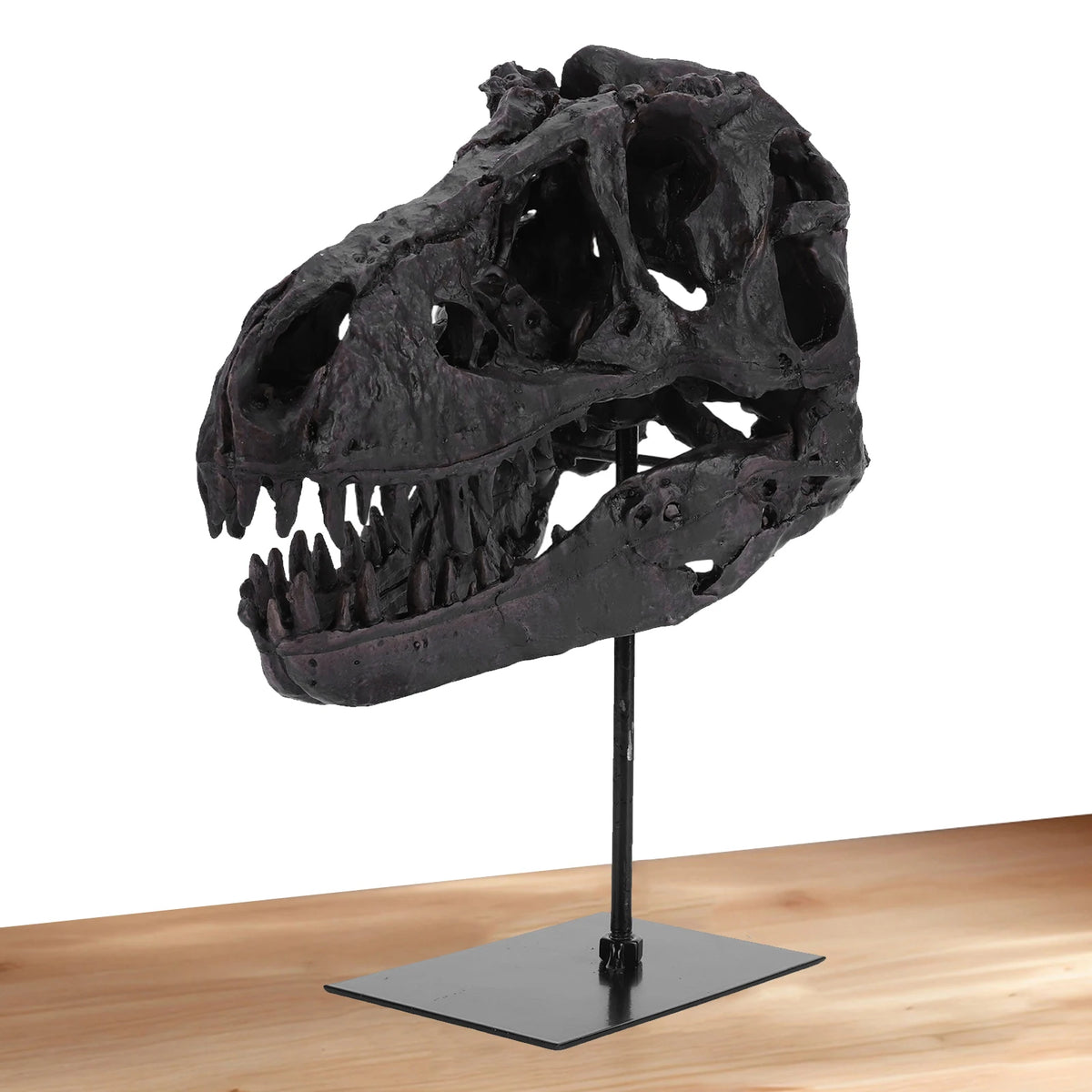 Tyrannosaurus Rex Fossil Skull Figurine Resin Replica With Display Stand