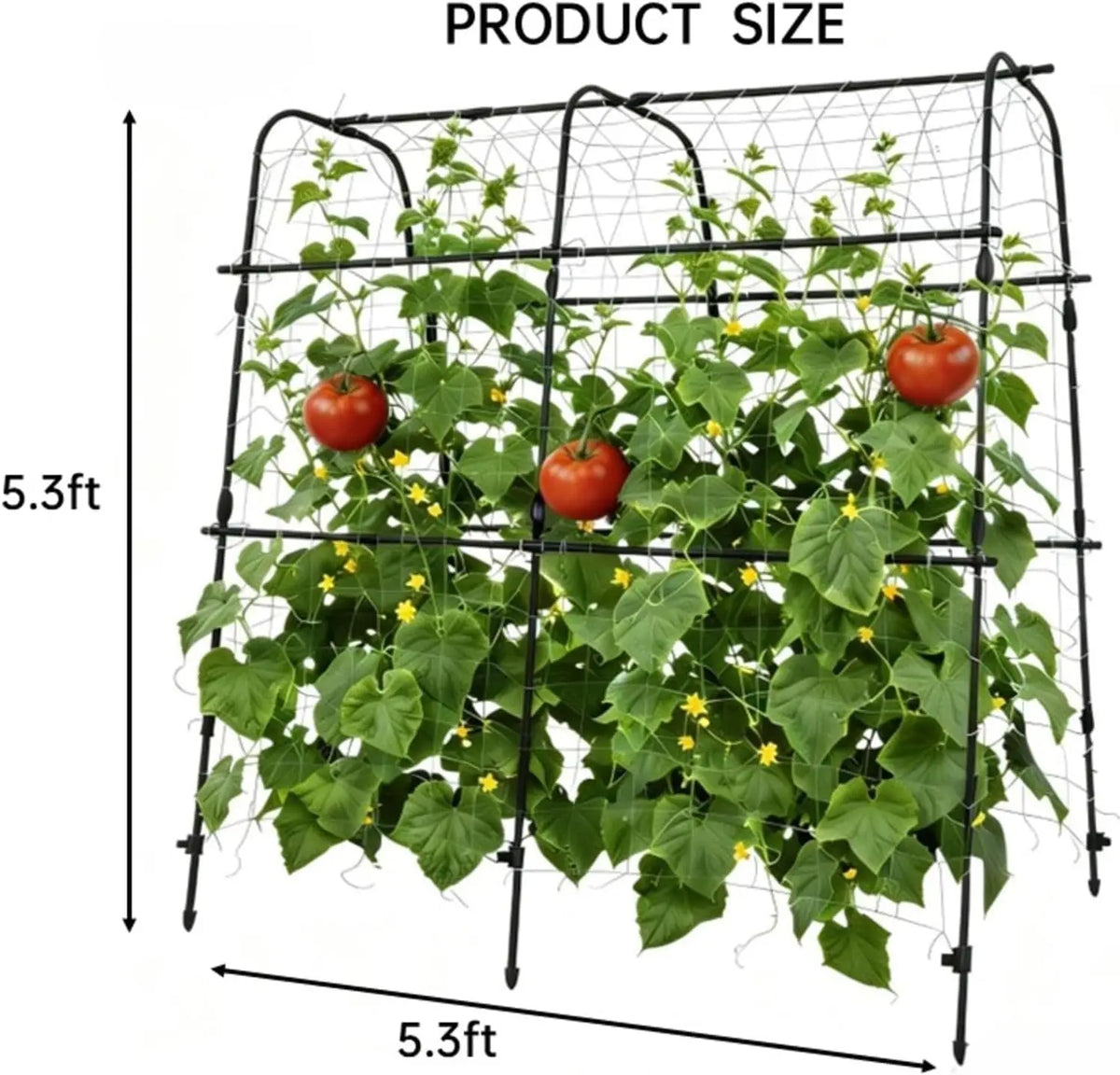 Vertical Arch Garden Trellis For Outdoor Balcony Patio Plant Support