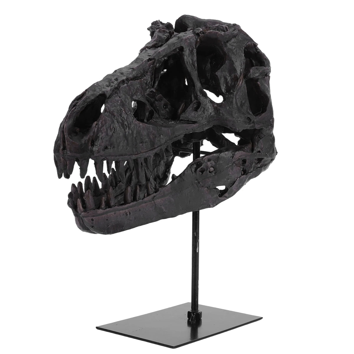 Tyrannosaurus Rex Fossil Skull Figurine Resin Replica With Display Stand